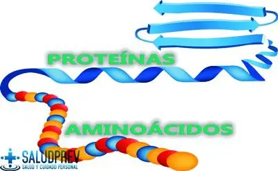 Proteínas y aminoácidos